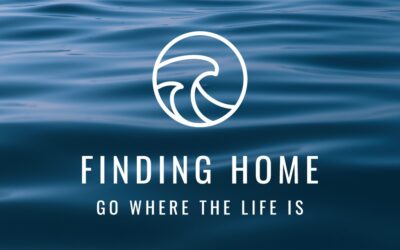 Finding Home – The Conference | Nov 29-Dec 1